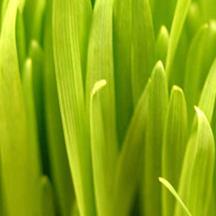 网页在线DDOS压力测试