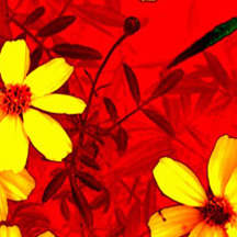 网页在线DDOS压力测试